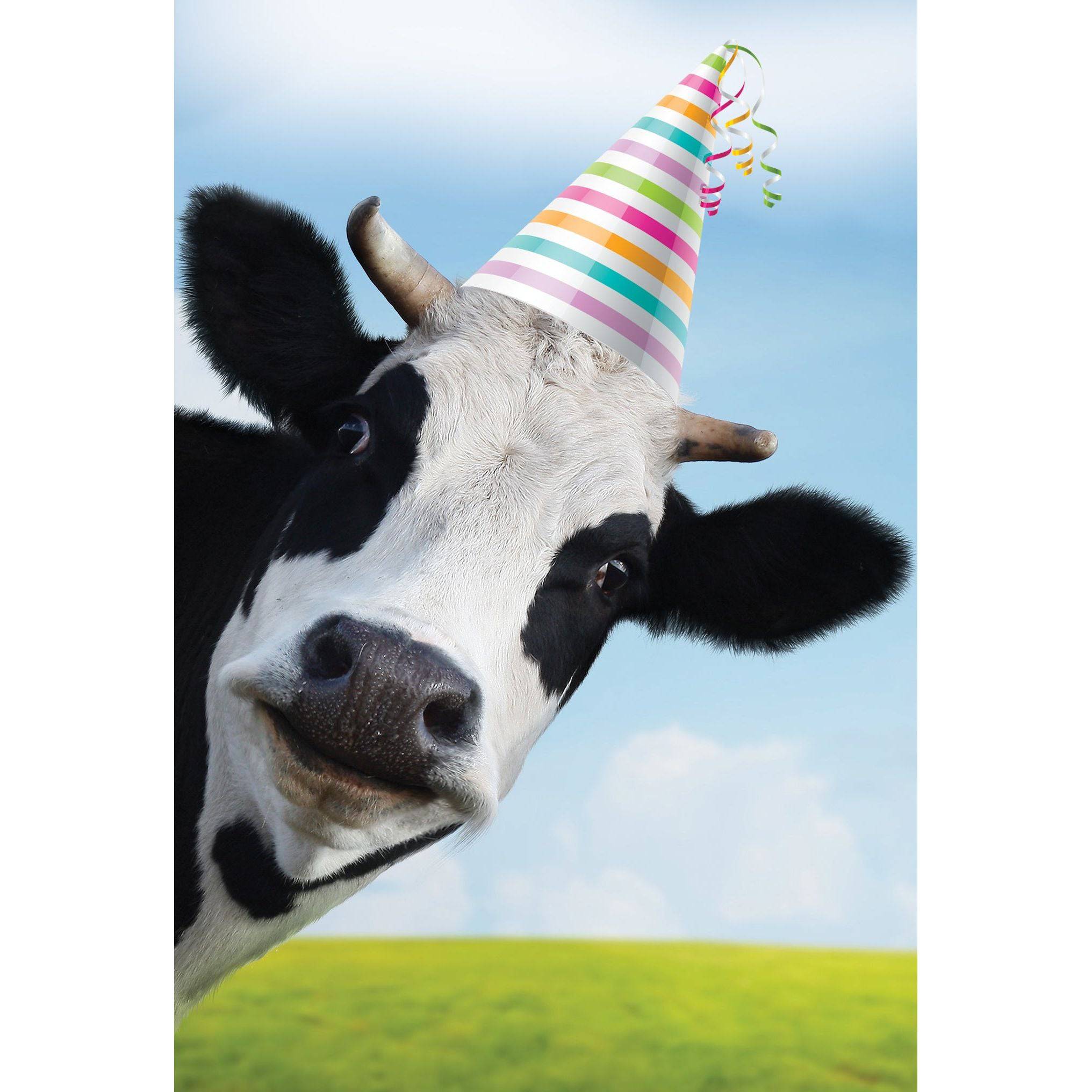 Pictura Milk it Funny Birthday Card featuring humorous design, perfect for celebrating birthdays with a lighthearted touch.